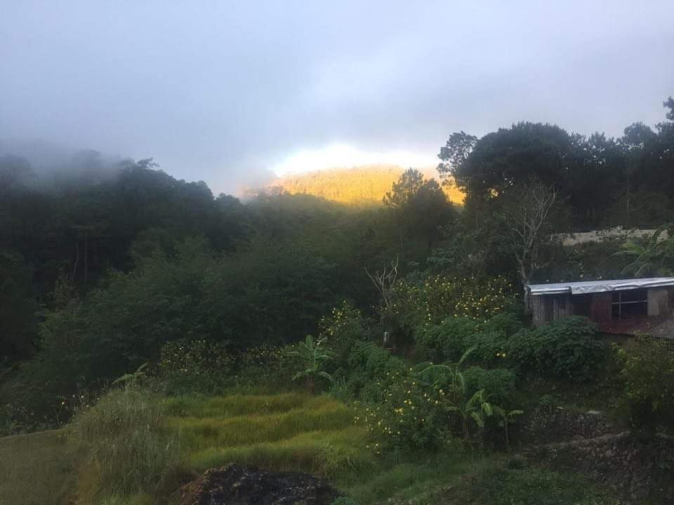 Banga-An Bnb And Coffee House Сагада Экстерьер фото