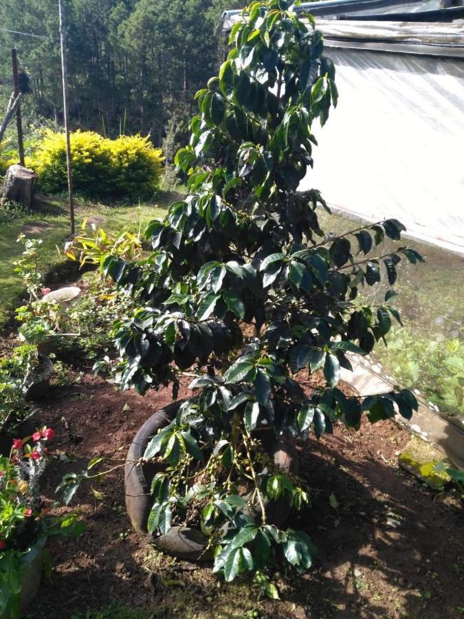 Banga-An Bnb And Coffee House Сагада Экстерьер фото